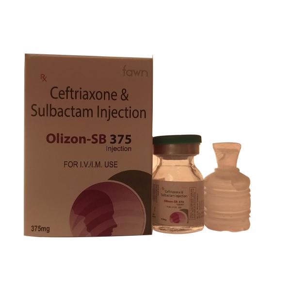 OLIZON SB 375